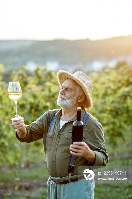 Portrait of a senior well-dressed winemaker checking the wine quality on the vineyard during a sunset. Concept of a winemaking in older age