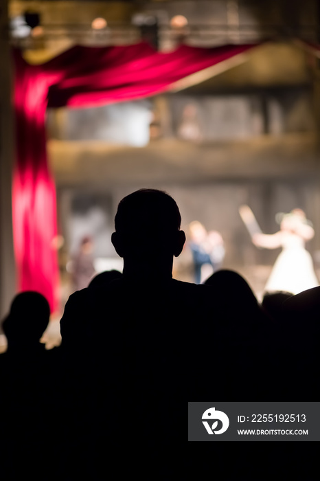 audience watching theater play