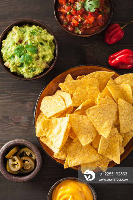 mexican nachos tortilla chips with guacamole, salsa and cheese dip