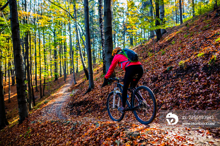 Cycling, mountain bikeing woman on cycle trail in autumn forest. Mountain biking in autumn landscape forest. Woman cycling MTB flow uphill trail.