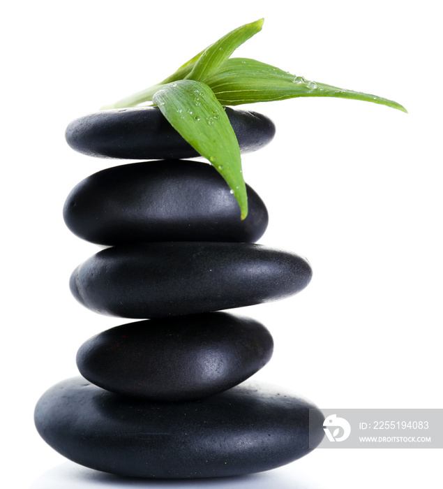 Black spa stones and green flower, isolated on white