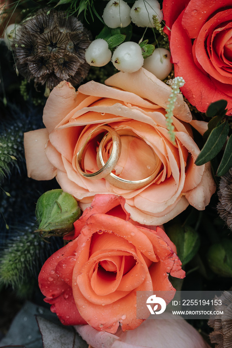 Beautiful wedding rings close up