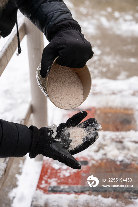 ice melt rock salt is being spread on your walking path to melt the snow and ice