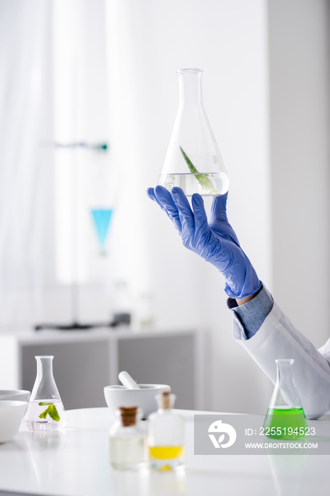 cropped view of laboratory assistant in latex glove holding flask with aloe extract.