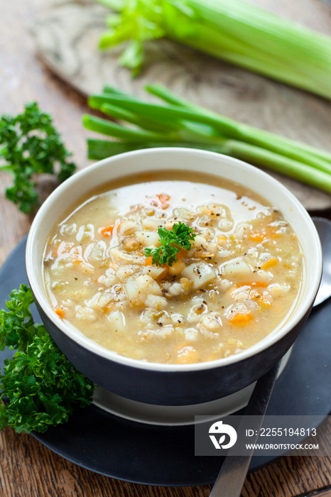 Winter earthy healthy soup with vegetables: carrot, potato, parsnip, onion, garlic and grains barley sand lentils.