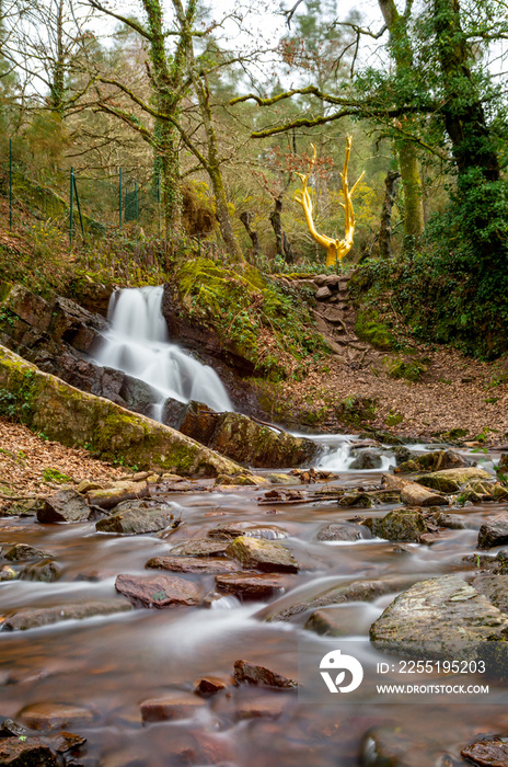 l’arbre d’or en foret de Brocéliande