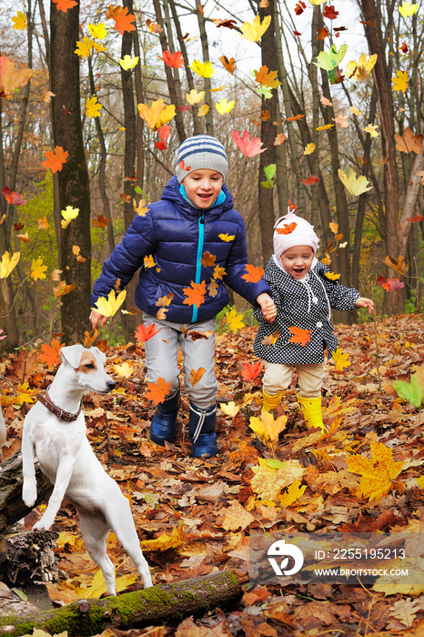 Funny children on a walk with a dog in the autumn forest