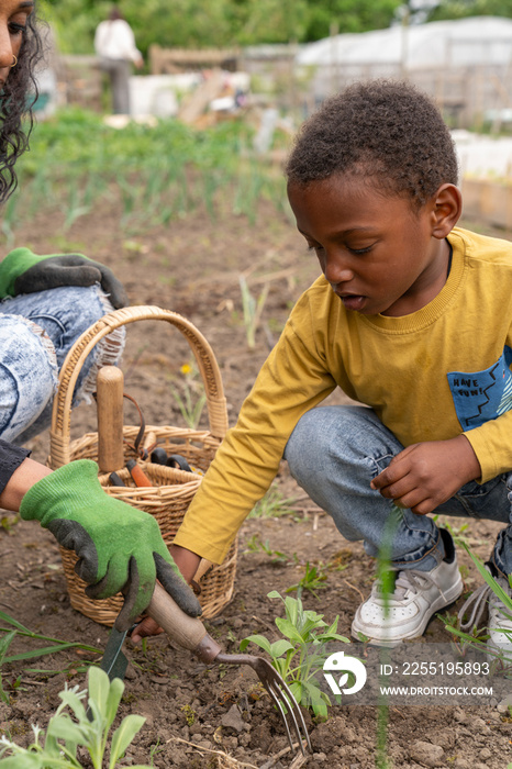 Mother helping son gardening in allotment