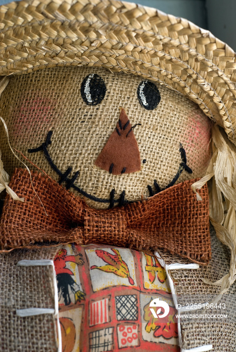 Close up of scarecrow