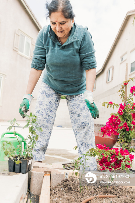 South Asian woman gardening in backyard