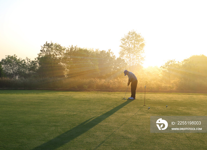 Golfer putting golf ball on the green , morning time