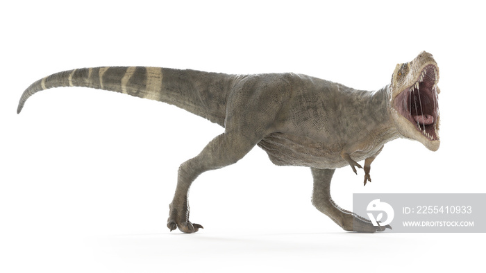 3d rendered illustration of a T-rex