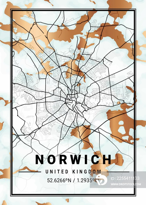 Norwich Bluebottle Marble Map