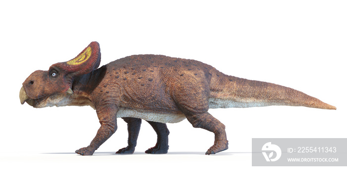 3d rendered dinosaur illustration of the Protoceratops