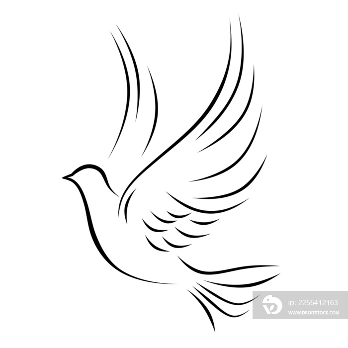 Minimal bird. A painted dove of peace.