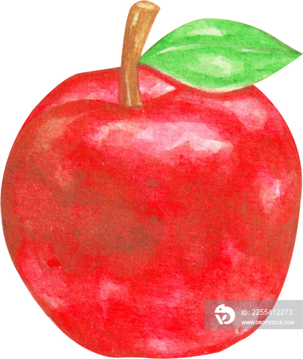 watercolor apple