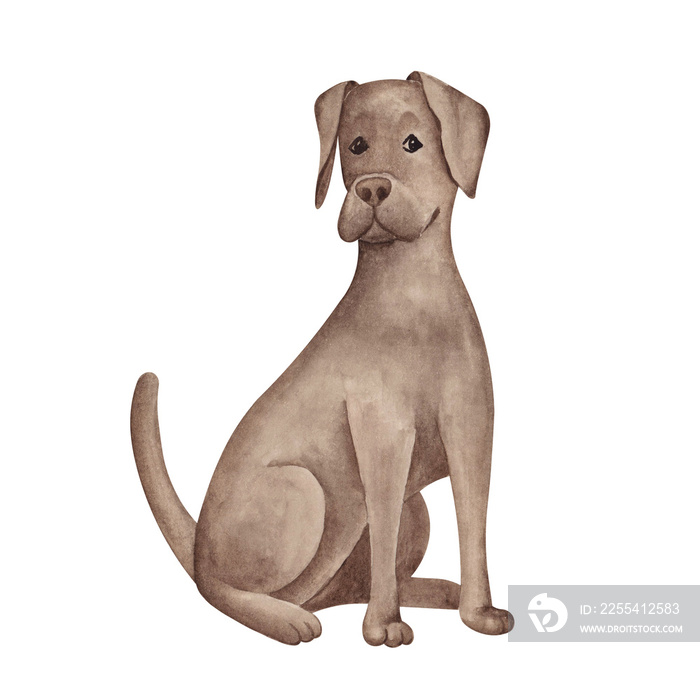 Brown labrador hand drawn watercolor cartoon illustration. Sitting dog clipart element isolated on white background.