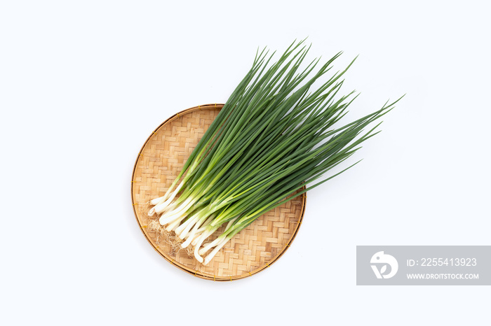 Spring onions on white background