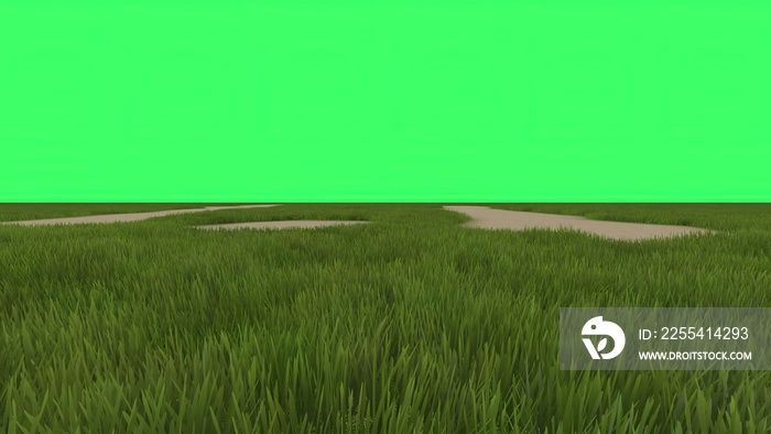 3D illustration - green field on green screen in background