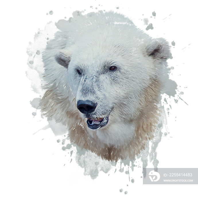 Digital Painting of Polar Bear