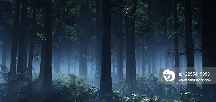 Forest in the morning in a fog in the sun, trees in a haze of light, glowing fog among the trees, 3D rendering