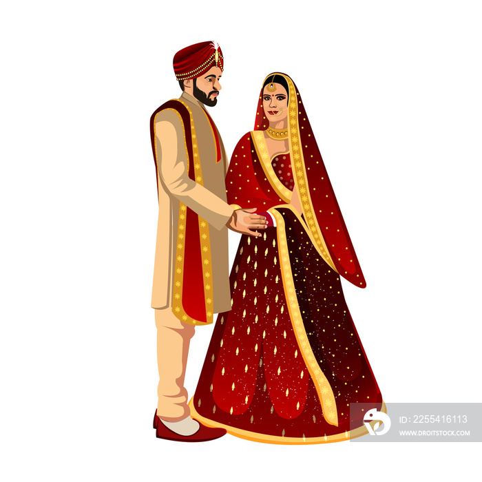 Indian wedding couple character bride and groom