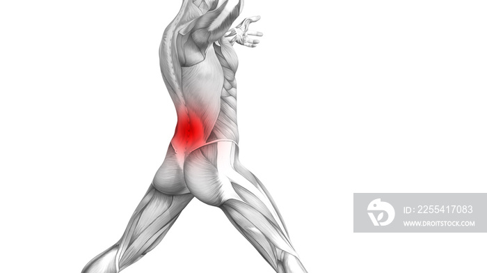 Conceptual back human anatomy with red hot spot inflammation articular joint pain or spine health care therapy or sport muscle concepts. 3D illustration man arthritis or bone sore osteoporosis disease