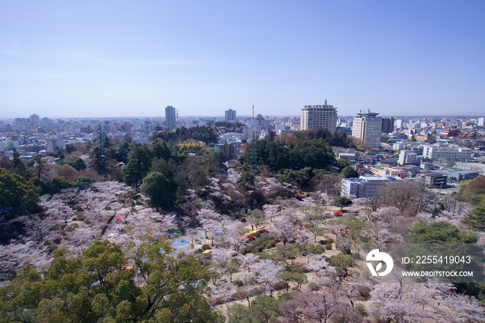 宇都宮市　宇都宮タワーから見た八幡山公園と街並み