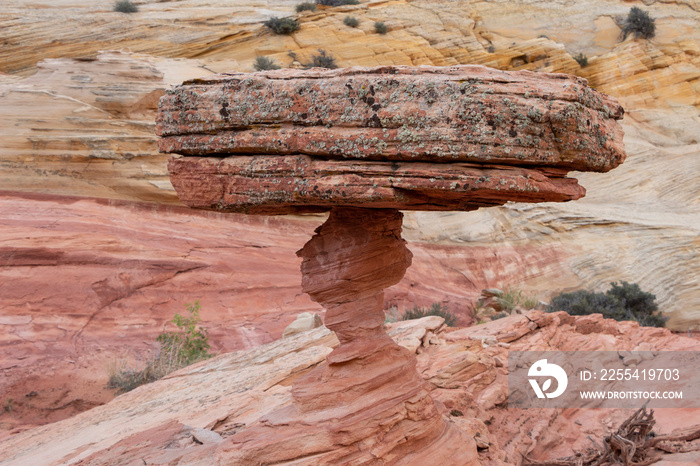 A very precariously balanced rock in southern Utah.