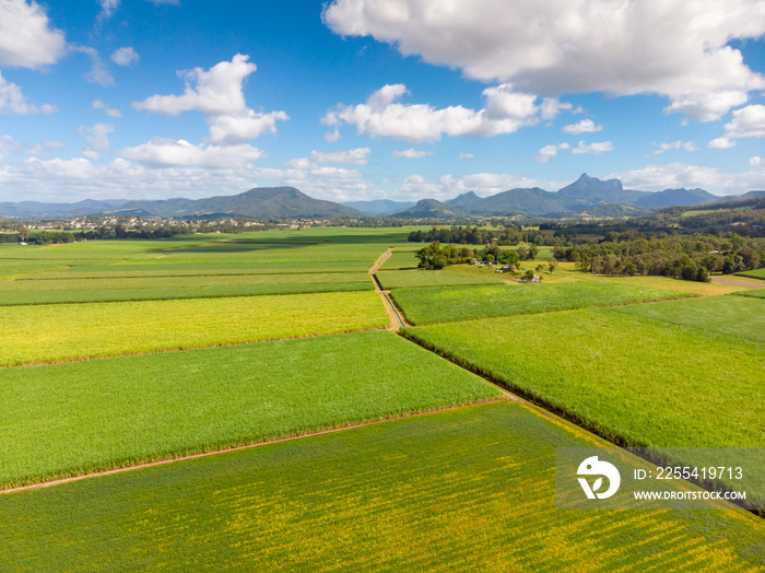 Australian Sugarcane Fields and Landscape