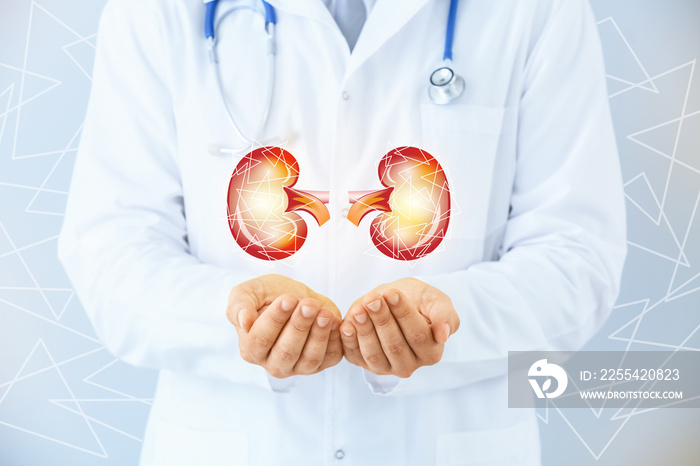 Doctor and kidneys on virtual screen against light background