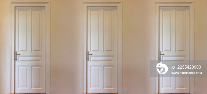 Closed door on house wall. Three interior retro wooden tall doorway, white classy, front view.