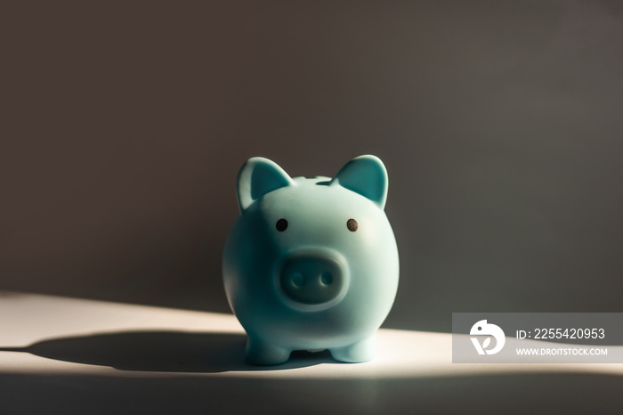 Simple Piggy Bank - With Expressions - Sad, Crying.