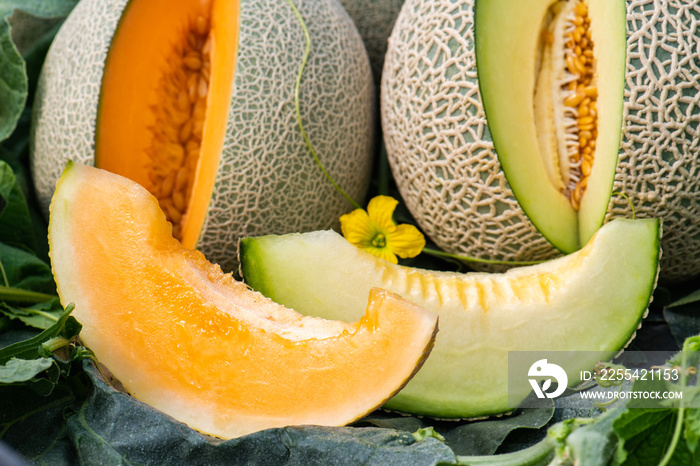 Honeydew melon and Japanese melon slice fresh ripe orange and sweet green slice lay on leaf in plant. Melon or cantaloupe is sweet fruit dessert.