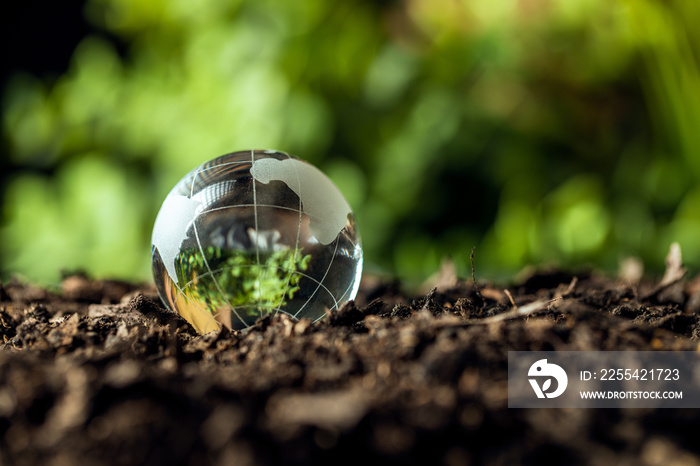 Glass globe on soil in environmental conservation and ecosystem concept.