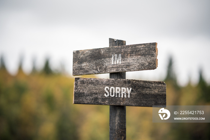 vintage and rustic wooden signpost with the weathered text quote im sorry, outdoors in nature. blurred out forest fall colors in the background.