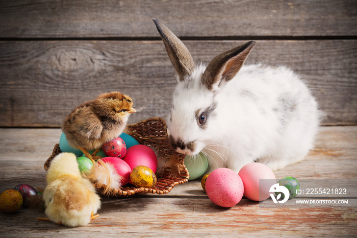 chicken and rabbit  with Easter eggs on wooden background