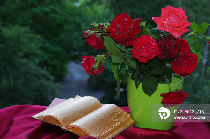 A bouquet of red roses and an open book on the windowsill.