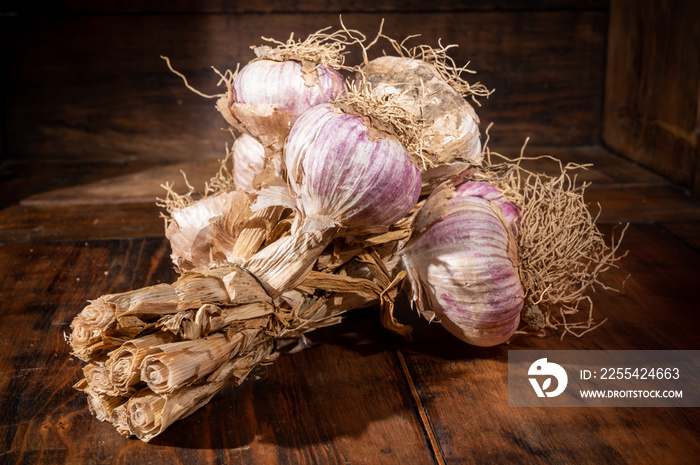 Bunch of young violet organic garlic on market in Provence, France