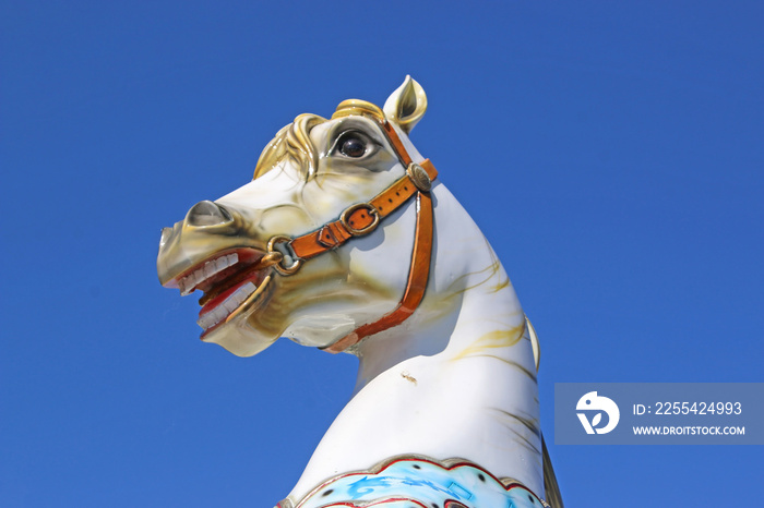 traditional merry-go-round carousel	horse