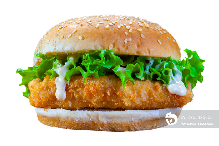 Chicken Burger with Lettuce