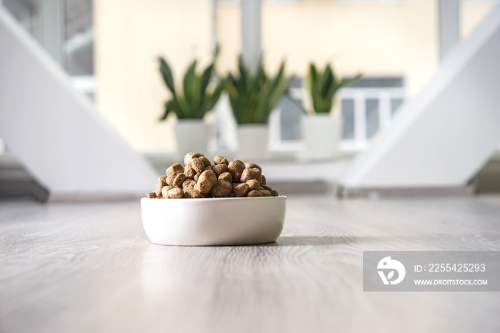 Bowl with dry pet food on floor