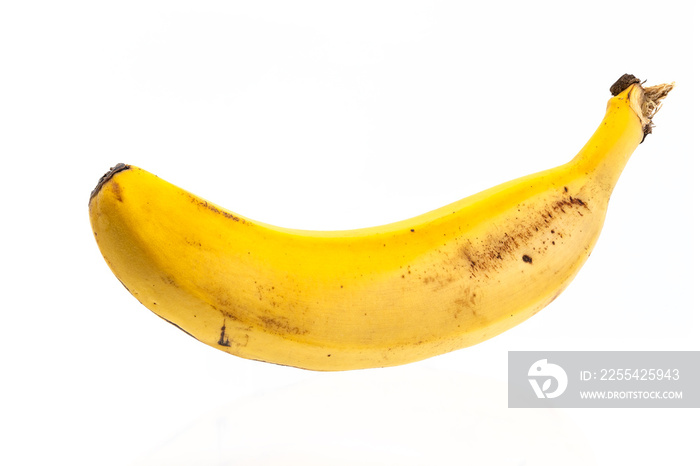 A single banana type platano de Canarias isolated on white background