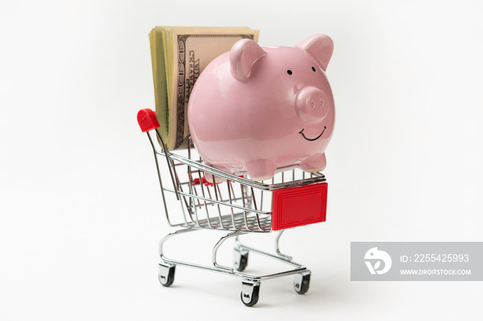 Piggy bank on a grocery cart with dollars. The concept of buying goods in the store.