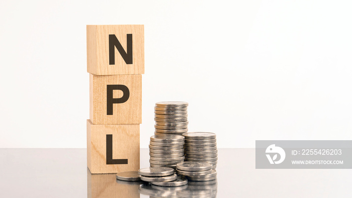 npl - text on wooden cubes on white background with coins