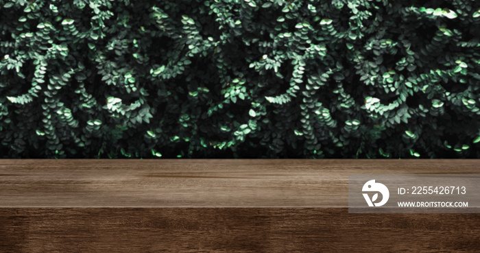 wood table with green leaf wall studio background.dark brown wooden countertop for product display design content.panoramic banner for advertise product on website.ecology concept.3d rendering.