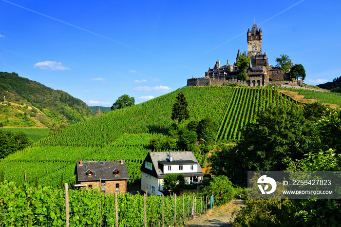 View of Cochem castle over vineyard covered hills, Germany