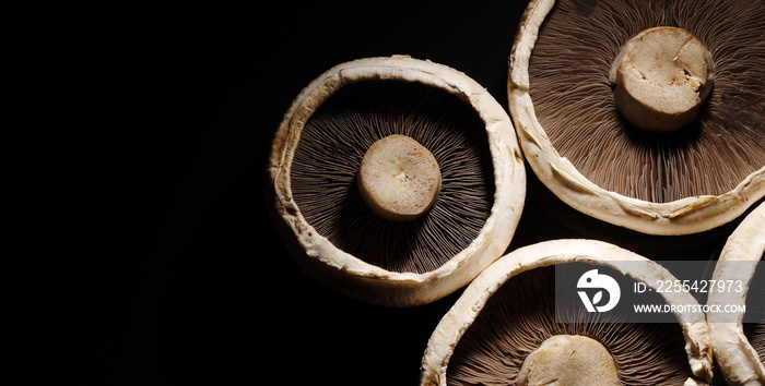 portobello mushrooms over black background, panoramic image