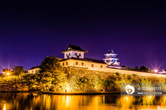 Lighted up Japanese castle.