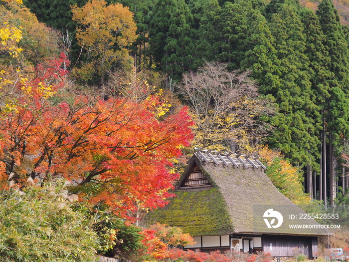 かやぶき民家と紅葉